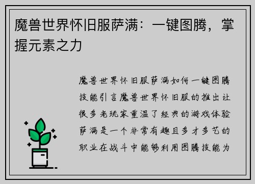 魔兽世界怀旧服萨满：一键图腾，掌握元素之力